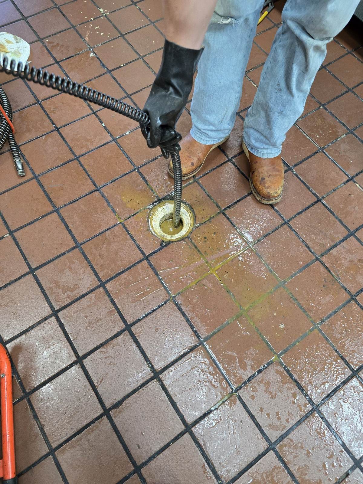 Drain machine clearing a commercial kitchen floor drain